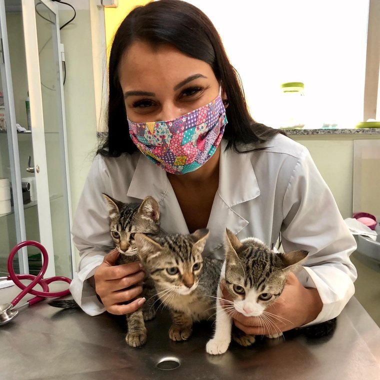 Dra. Isabela com dois gatinhos filhotes na Vetpet