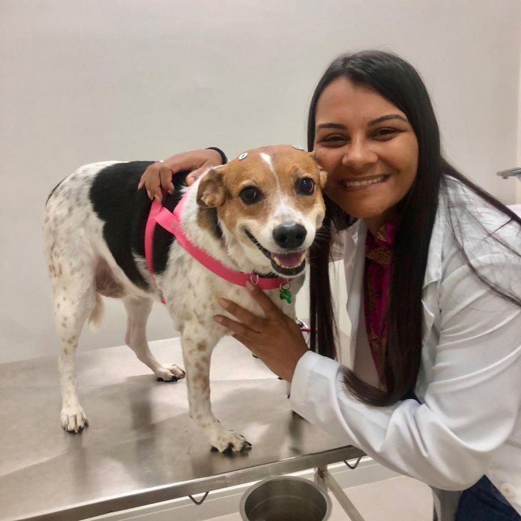 Dra. Isabela abraçando um cão durante o atendimento